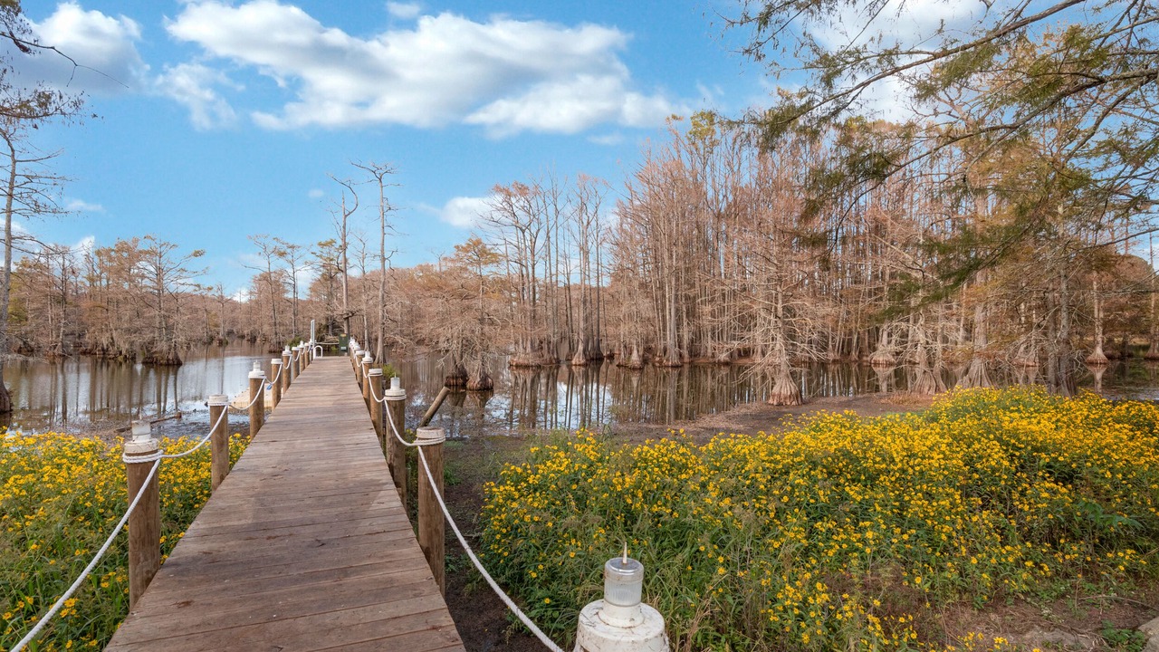 Photo of Outdoor in Shreveport