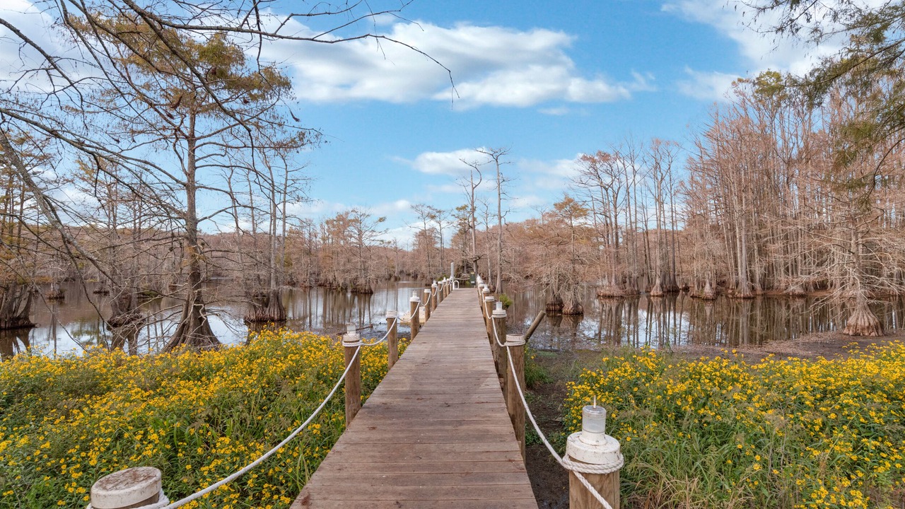 Photo of Outdoor in Shreveport