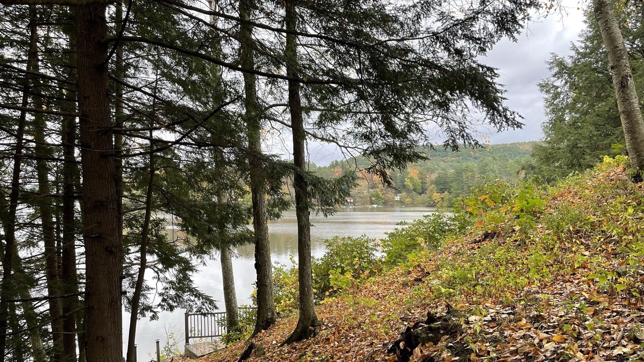 Photo of Outdoor in Oneonta