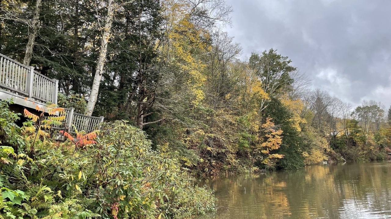 Photo of Outdoor in Oneonta