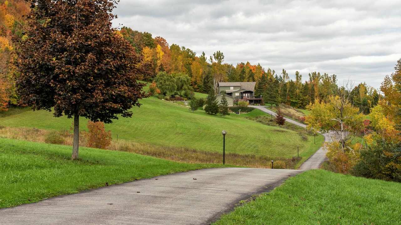 Photo of Outdoor in Grey Highlands