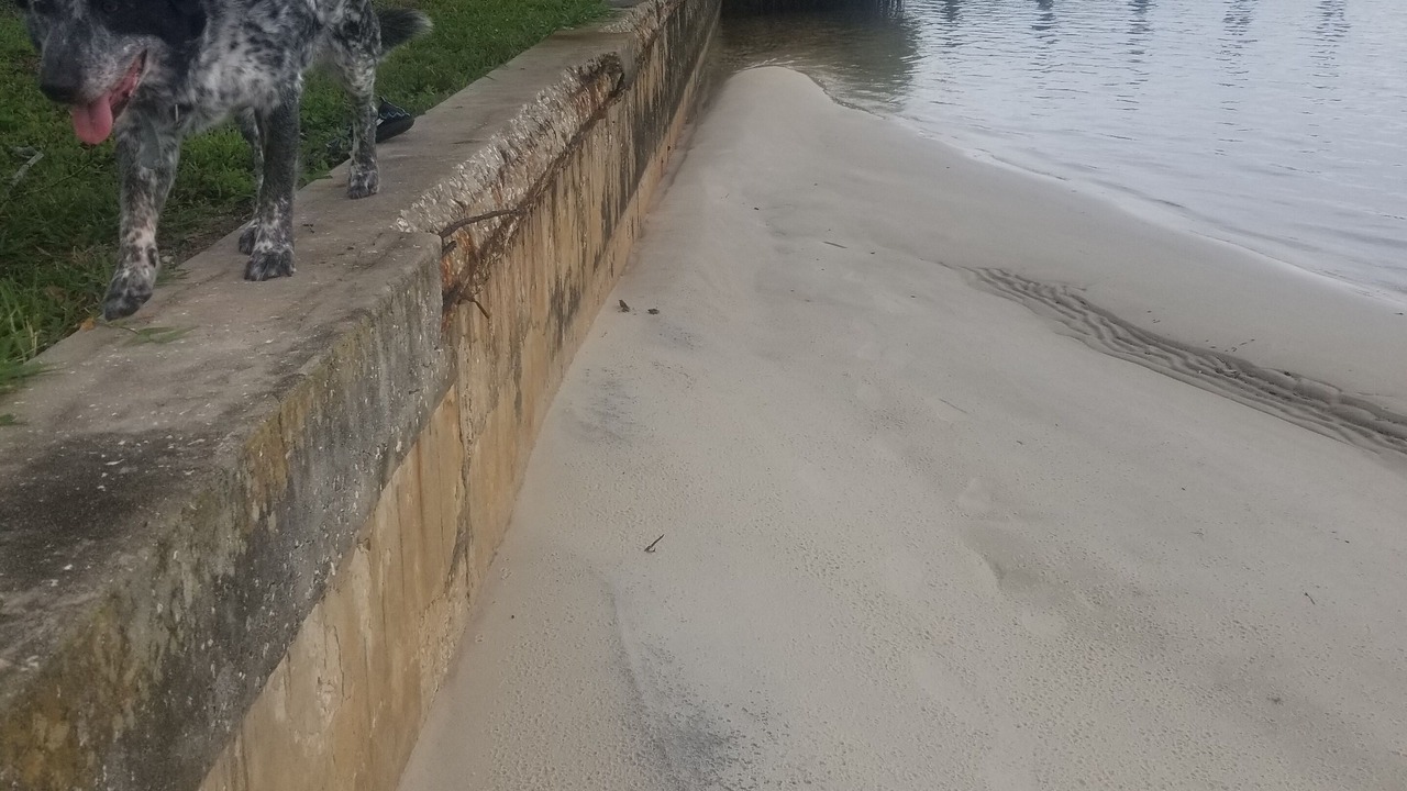 Photo of Others in Charlotte Harbor