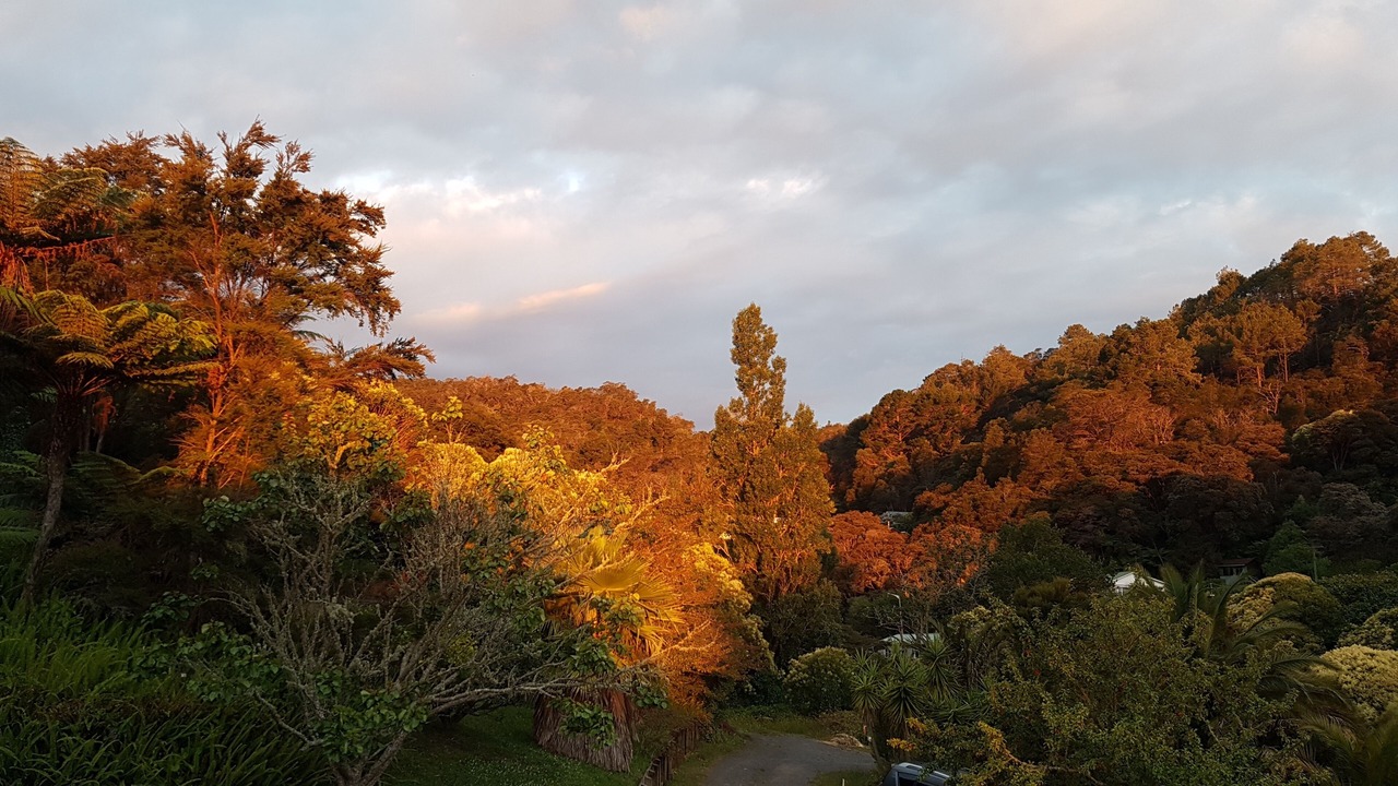 Photo of Outdoor in Thames