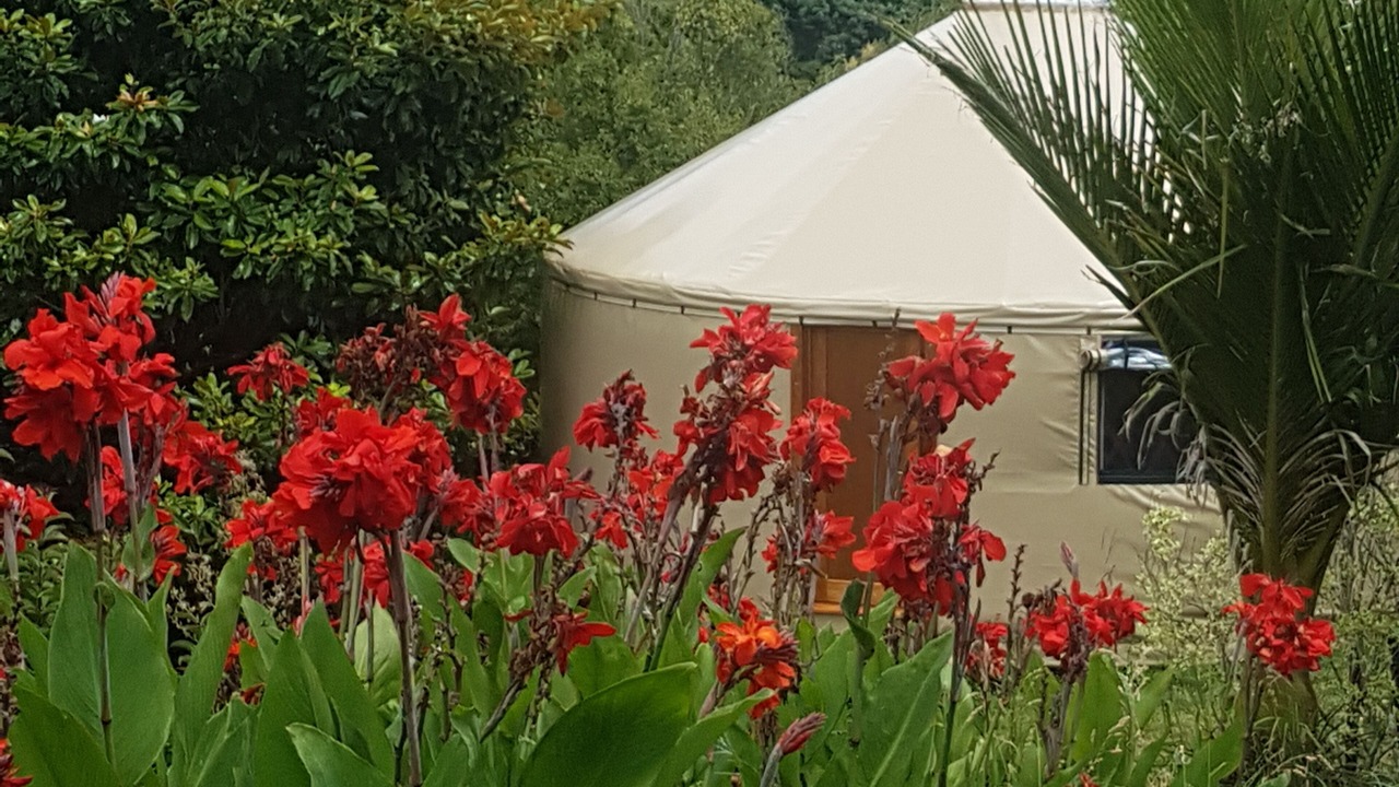 Photo of Outdoor in Thames