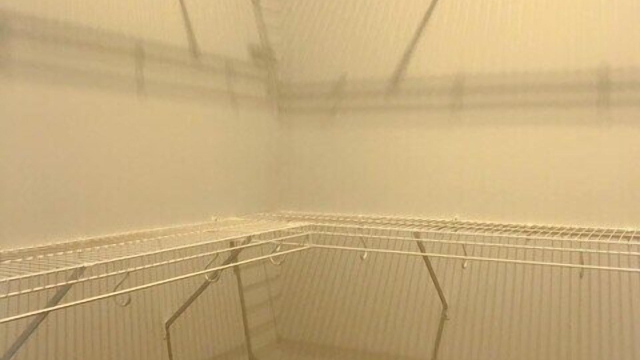 Photo of Others in Midtown