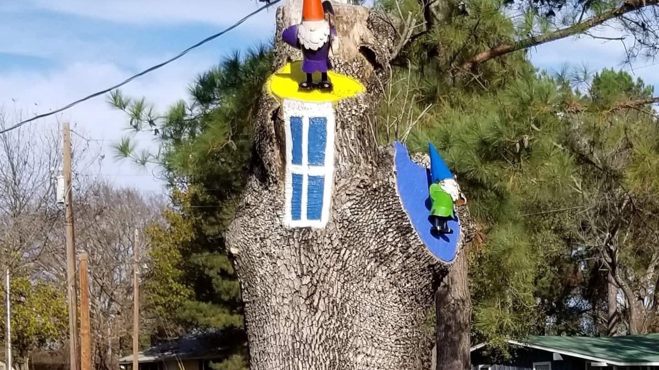 Photo of Others in Carolyn Estates