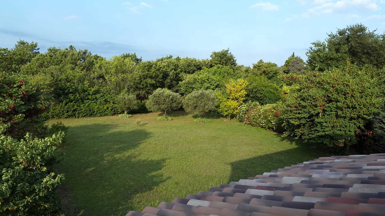 Photo of Outdoor in Lorgues