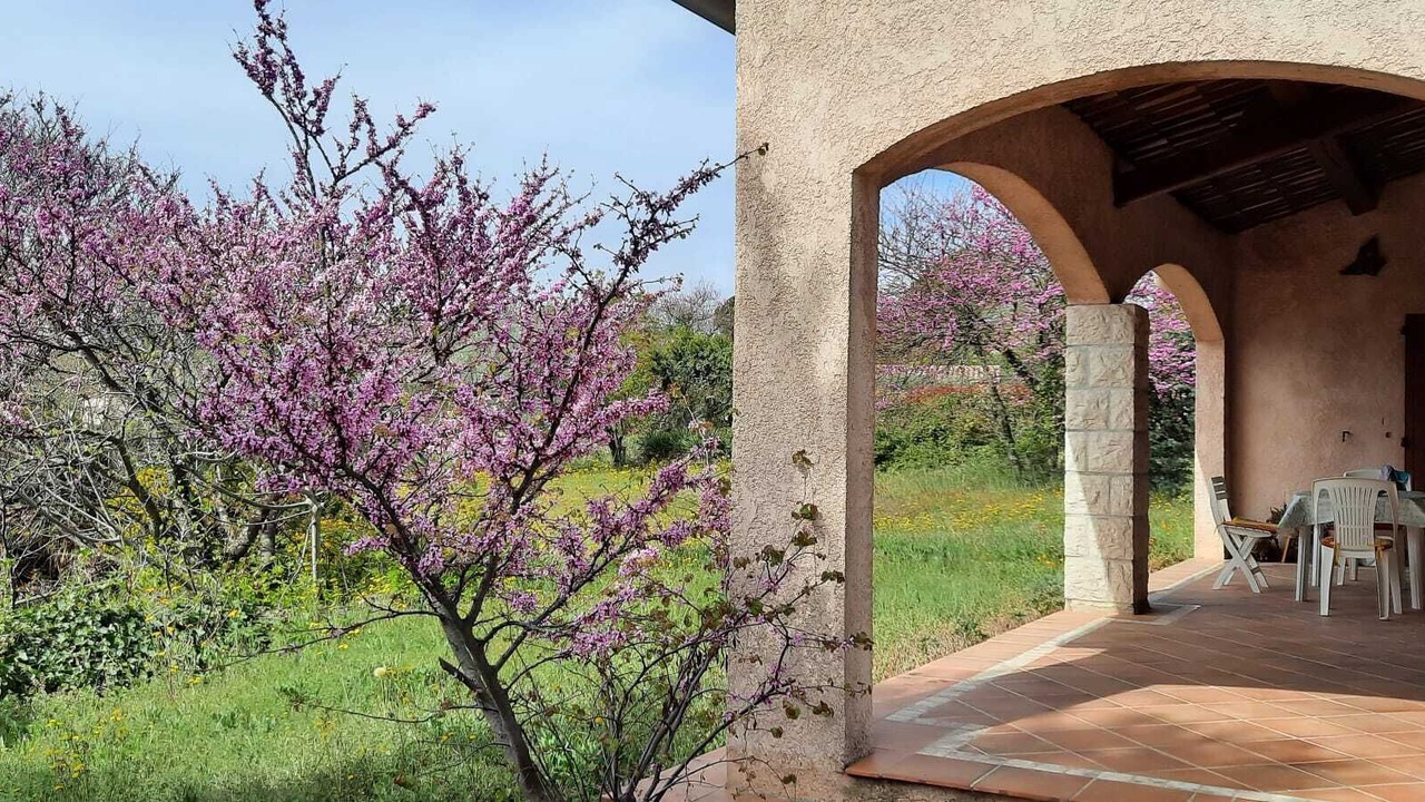 Photo of Outdoor in Lorgues