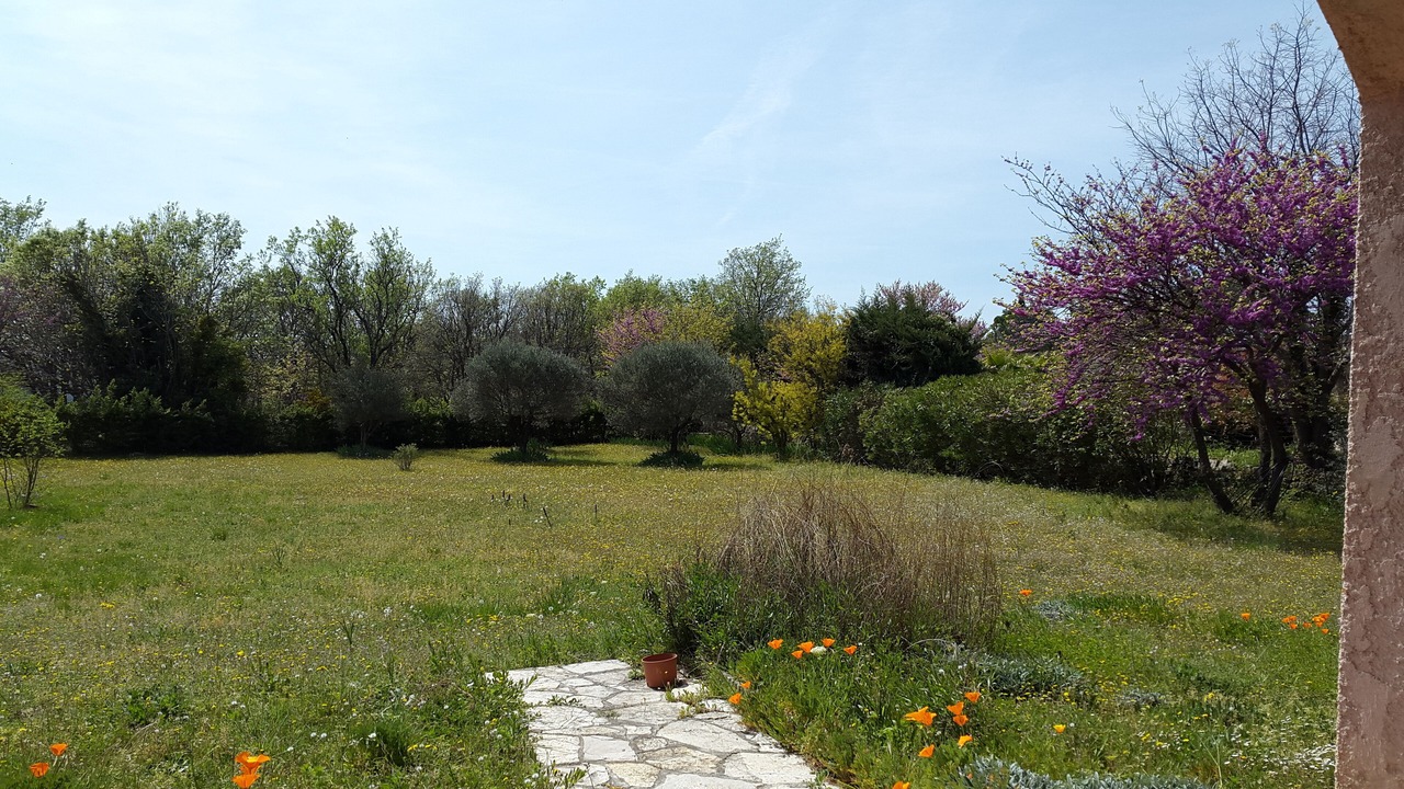 Photo of Outdoor in Lorgues