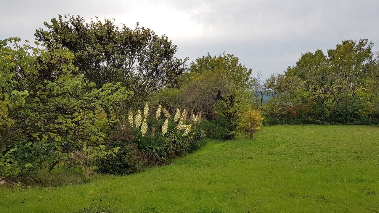 Photo of Outdoor in Lorgues