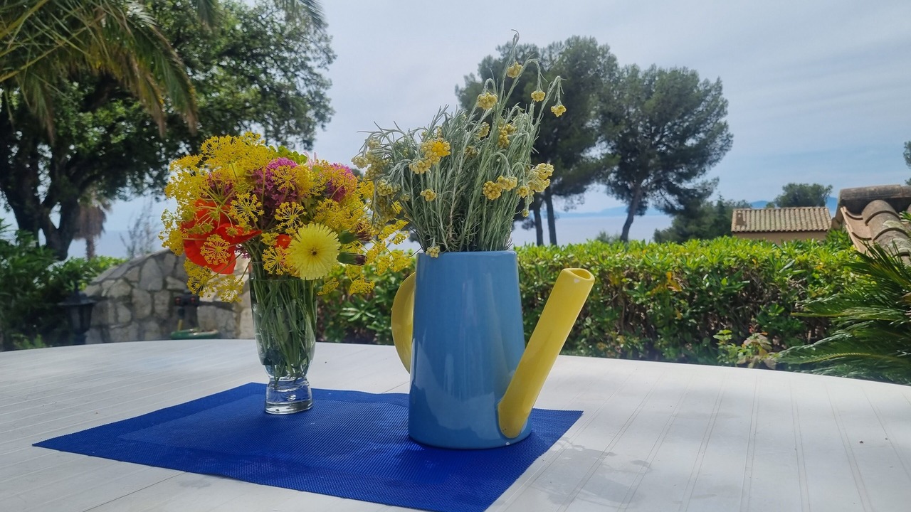 Photo of Outdoor in Le Dramont