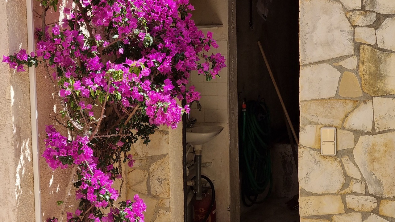 Photo of Outdoor in Le Dramont