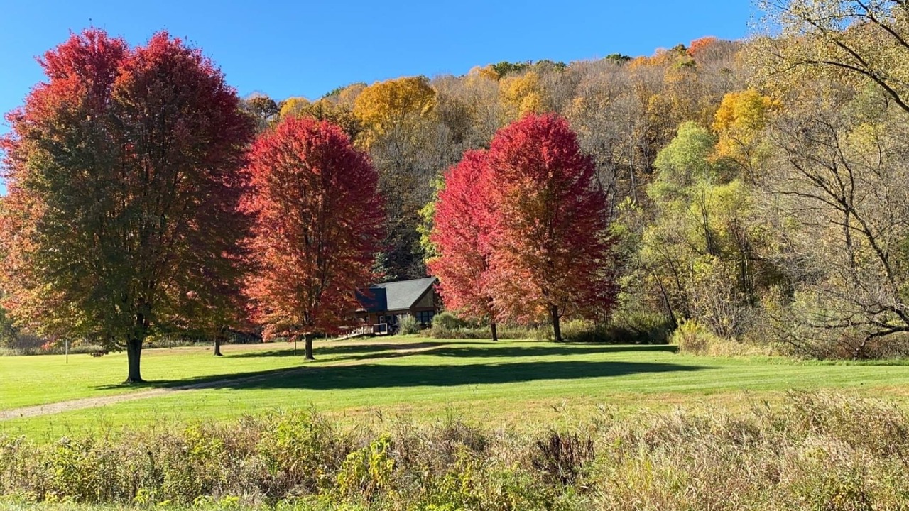 Photo of Outdoor in Westby