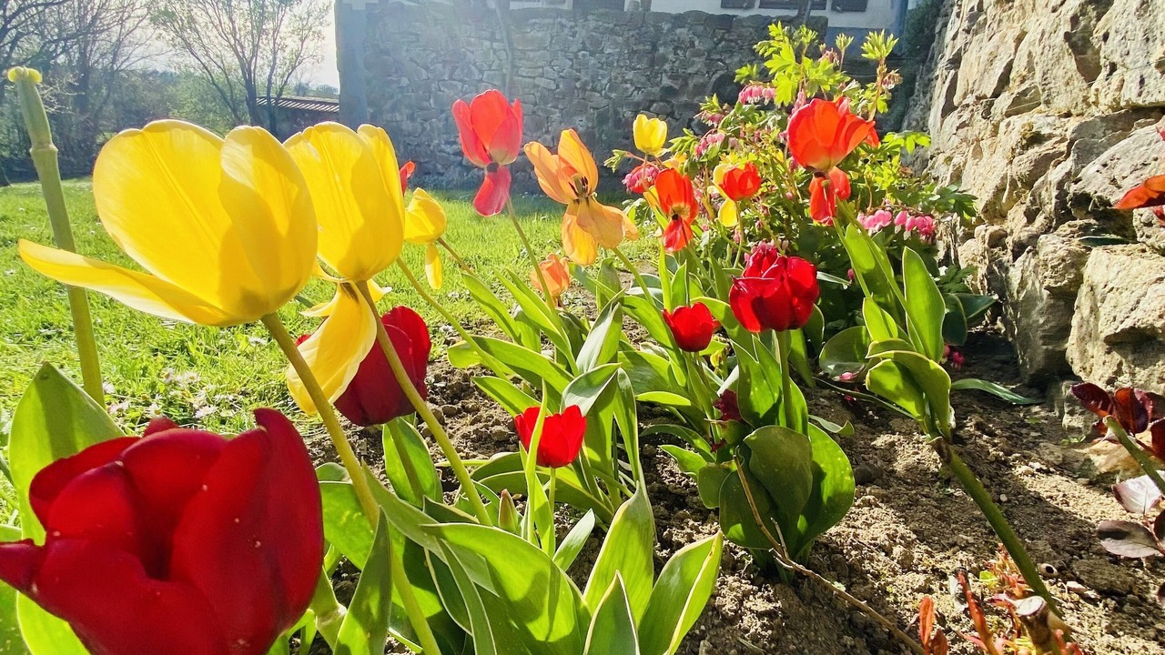 Photo of Outdoor in Marcillat-en-Combraille