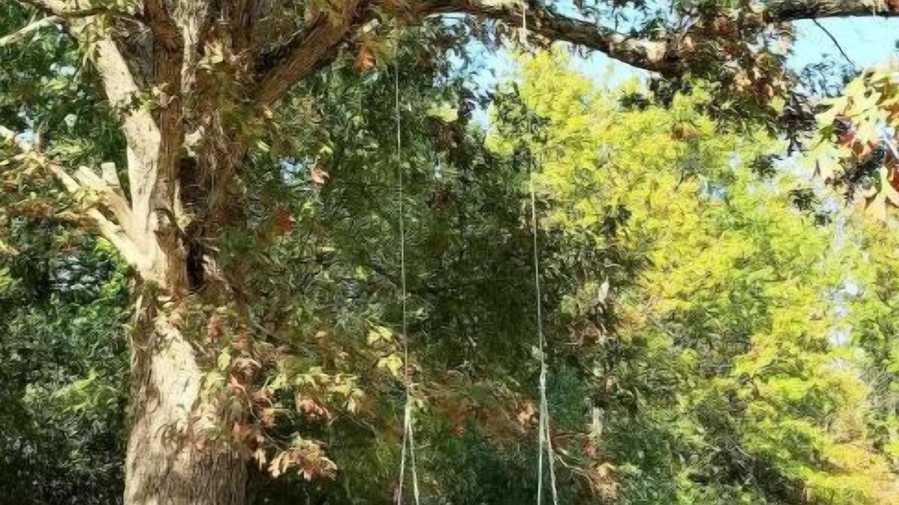 Photo of Outdoor in Goshen