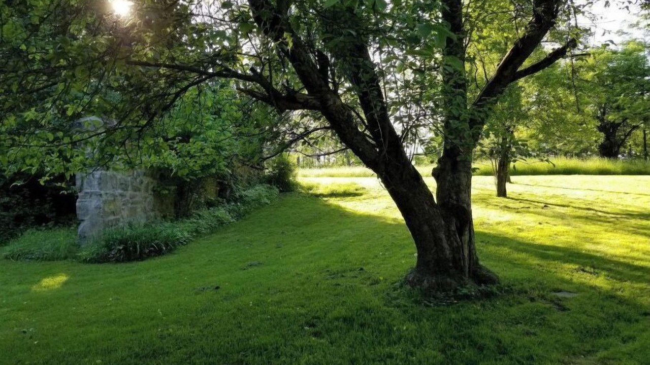 Photo of Outdoor in Goshen