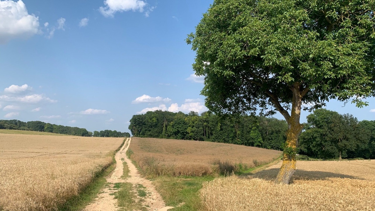 Photo of Outdoor in Hardricourt