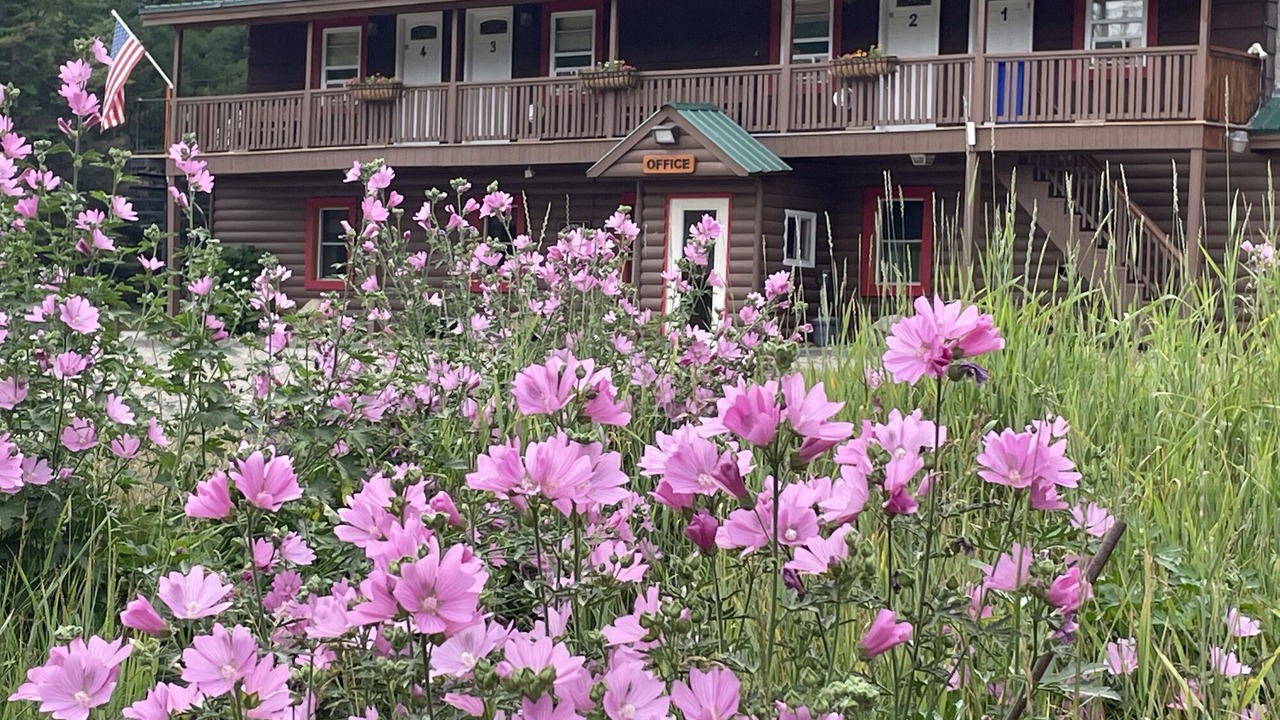 Photo of Others in Stratton