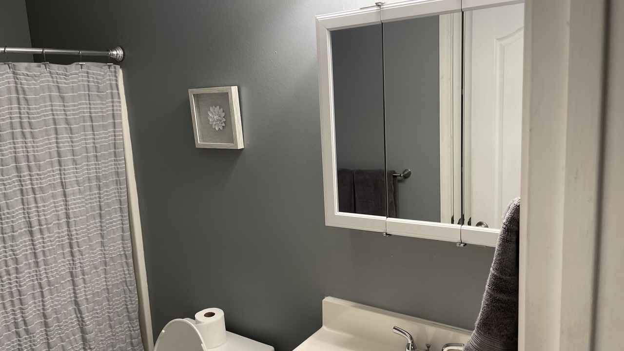 Photo of Bathroom in Gray