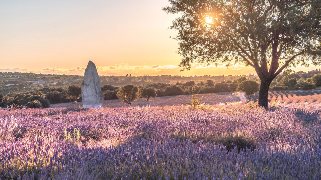 Photo of Outdoor in Lagorce