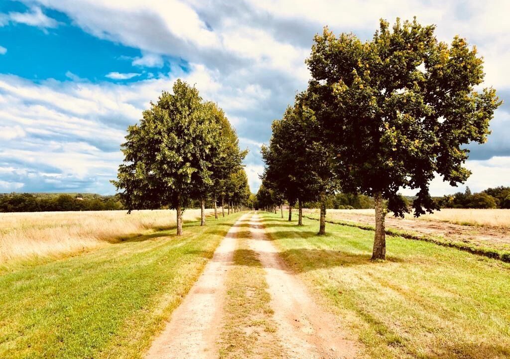 Photo of Outdoor in Saint-Come