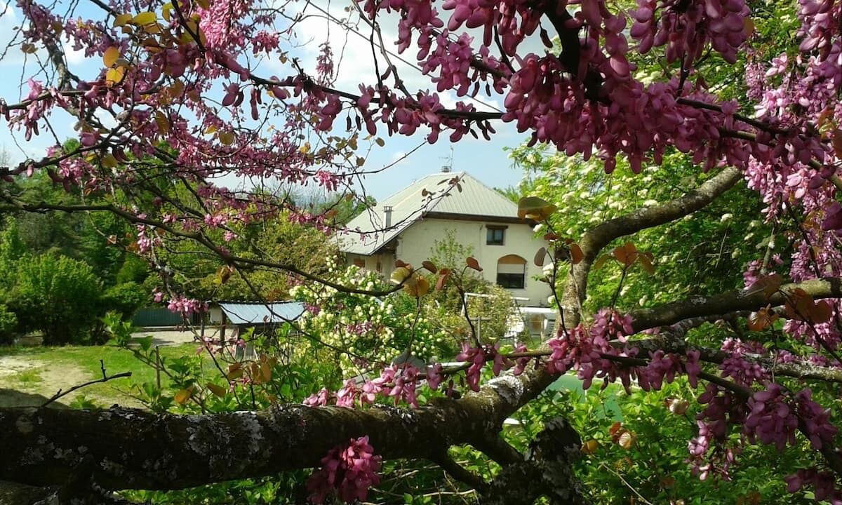 Photo of Outdoor in Trevignin