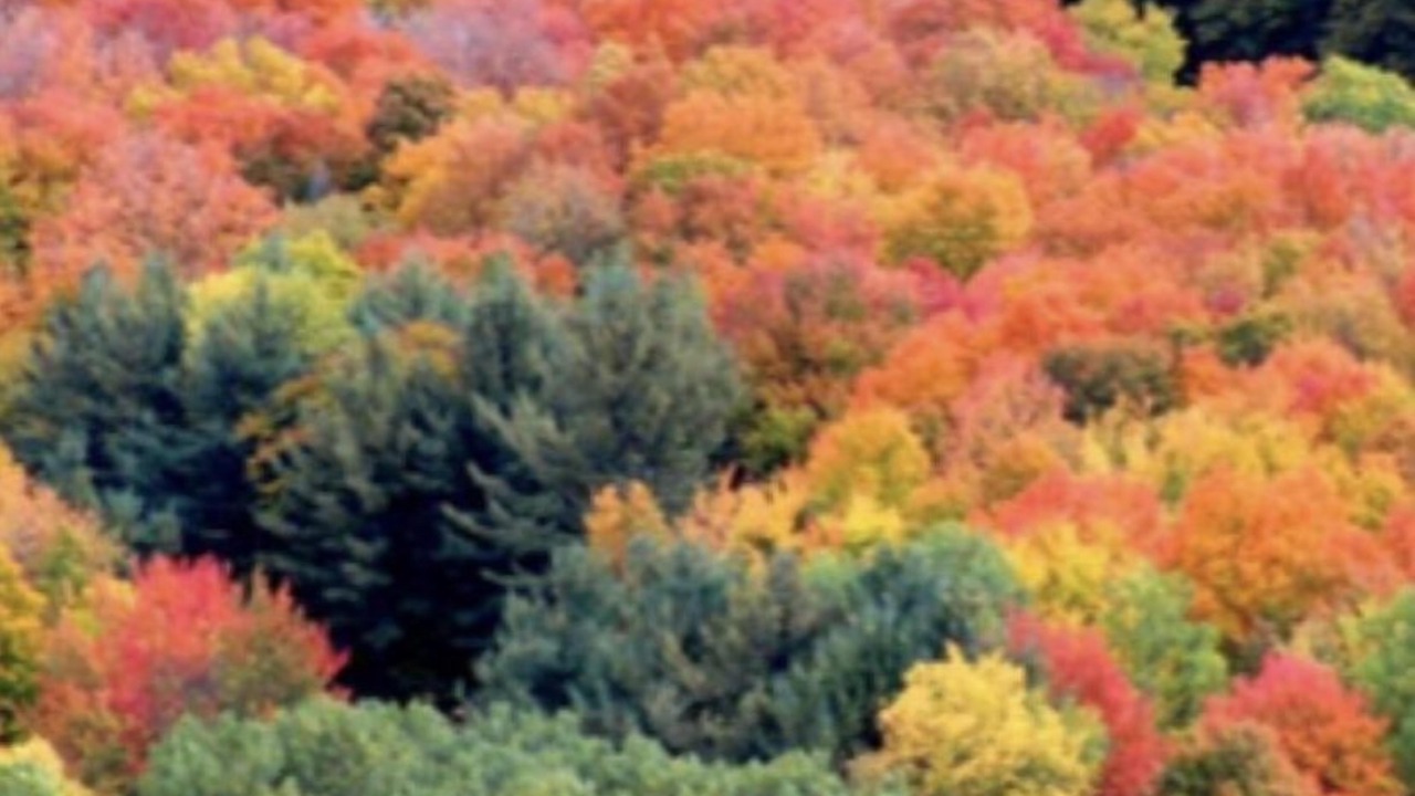 Photo of Outdoor in Hope