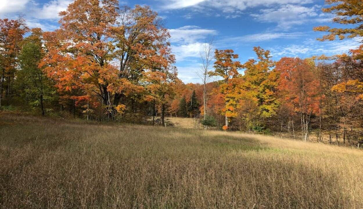 Photo of Outdoor in Northeast Michigan