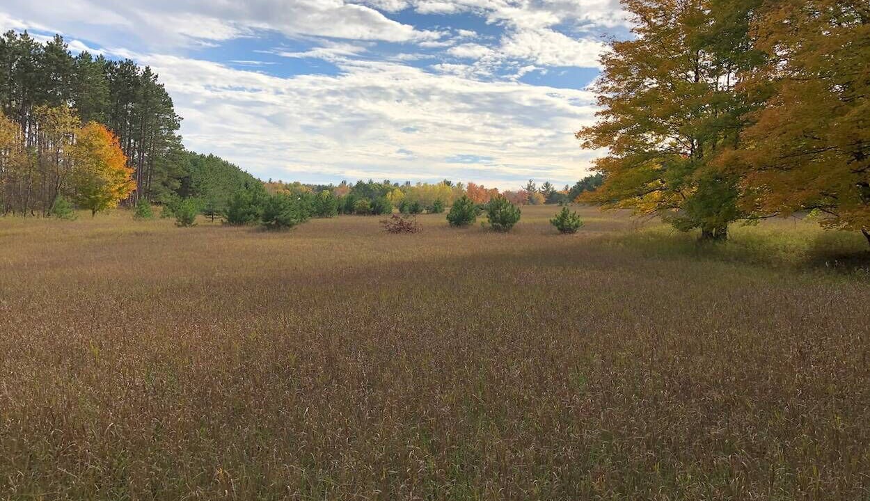 Photo of Outdoor in Northeast Michigan