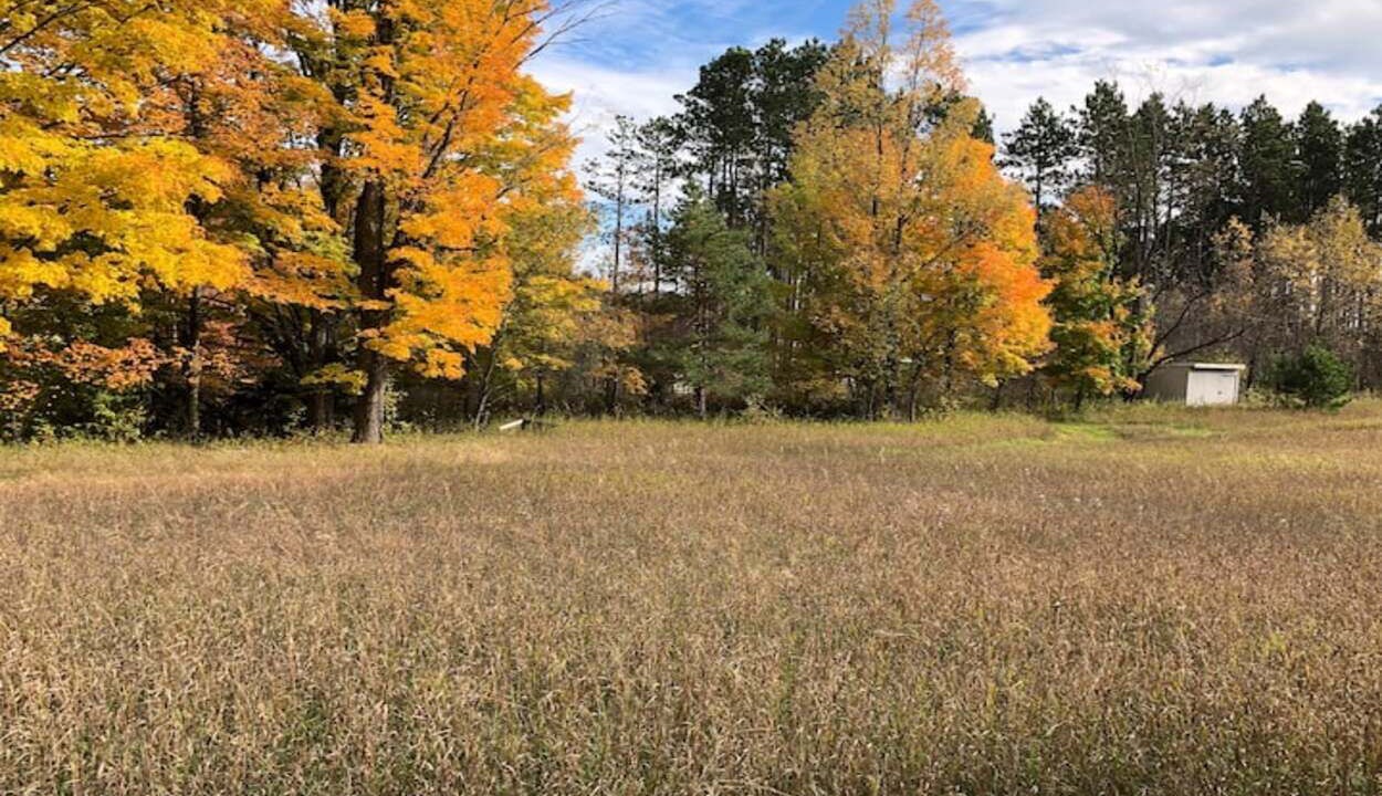 Photo of Outdoor in Northeast Michigan