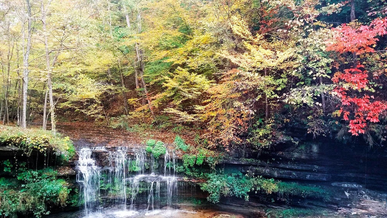 Photo of Outdoor in Hickman