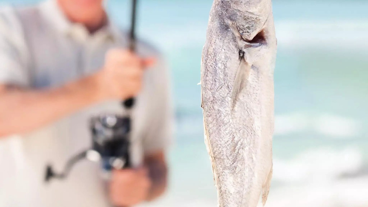 Photo of Others in Martigues