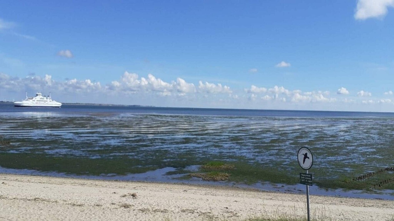 Photo of Others in Sønderstrand