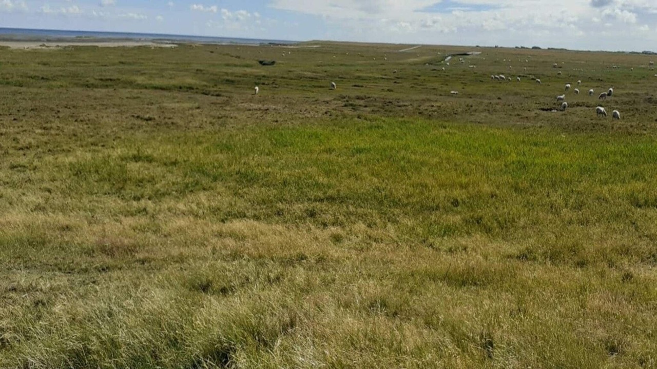 Photo of Others in Sønderstrand