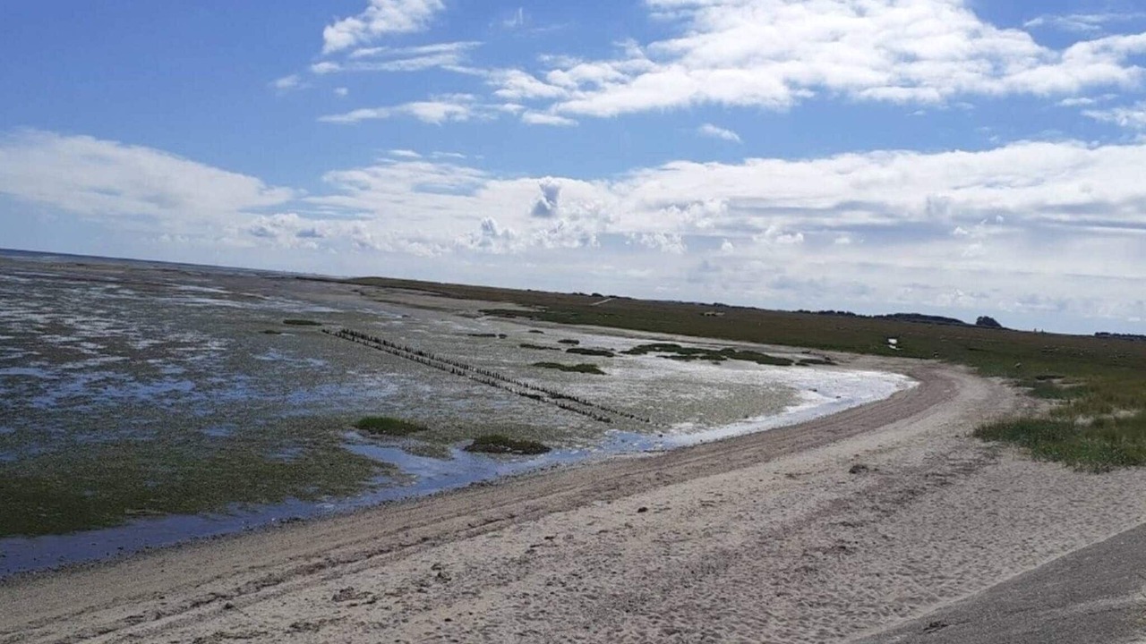 Photo of Others in Sønderstrand