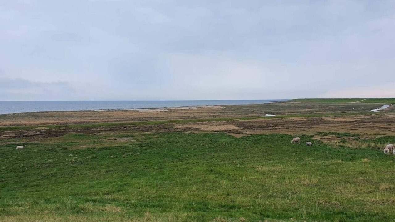 Photo of Others in Sønderstrand