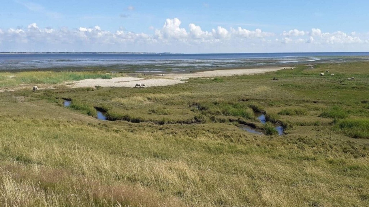 Photo of Others in Sønderstrand