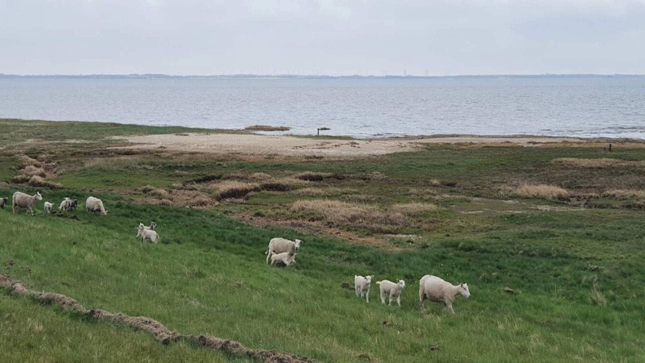 Photo of Others in Sønderstrand