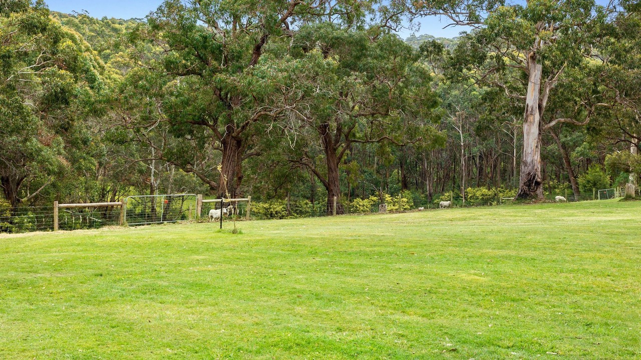 Photo of Others in Lorne