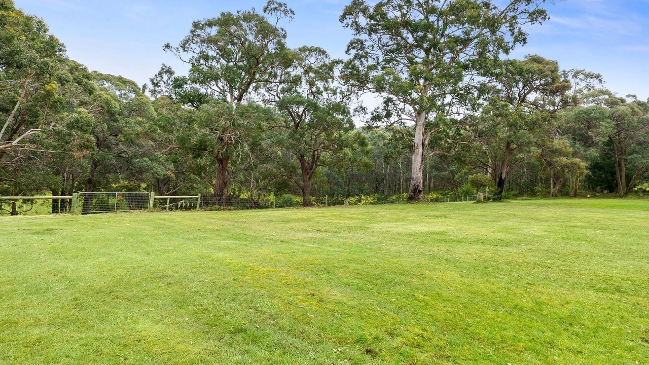 Photo of Others in Lorne