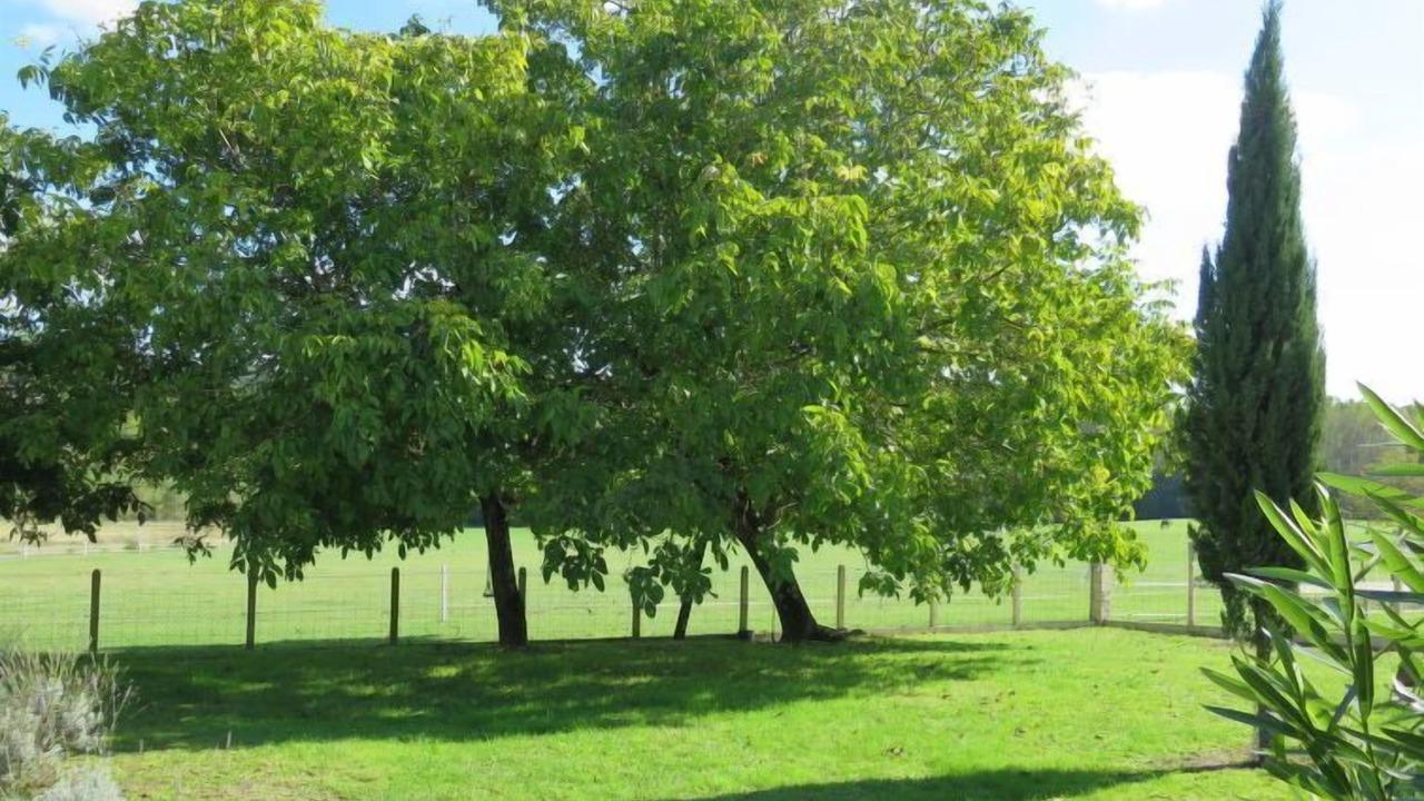 Photo of Outdoor in Chanterac