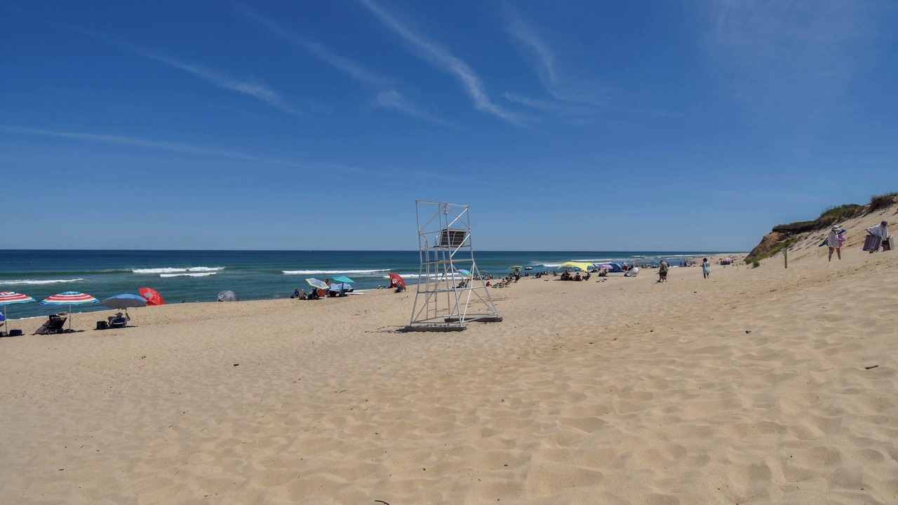 Photo of Others in Wellfleet