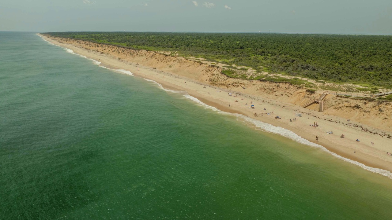 Photo of Others in Wellfleet
