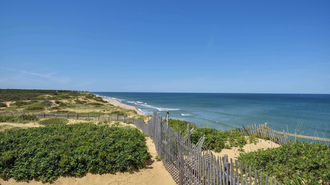 Photo of Others in Wellfleet