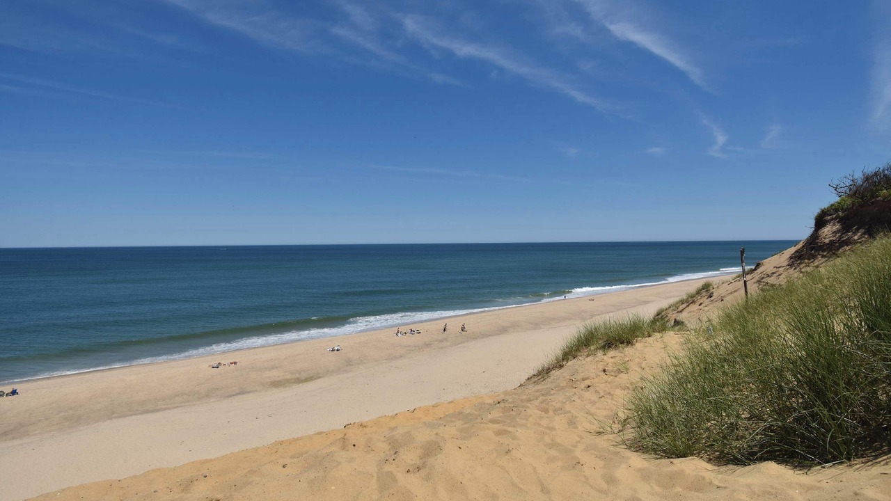Photo of Others in Wellfleet