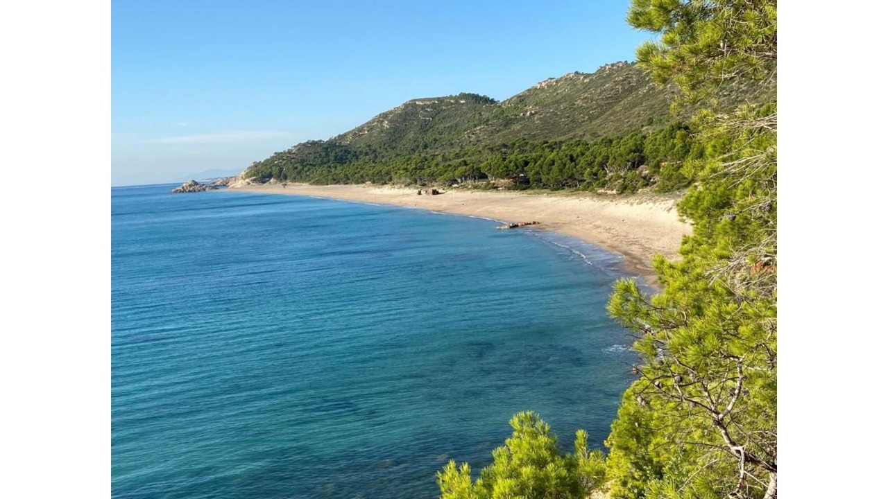 Photo of Others in Calafat