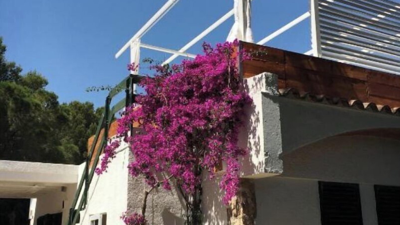 Photo of Outdoor in Calafat
