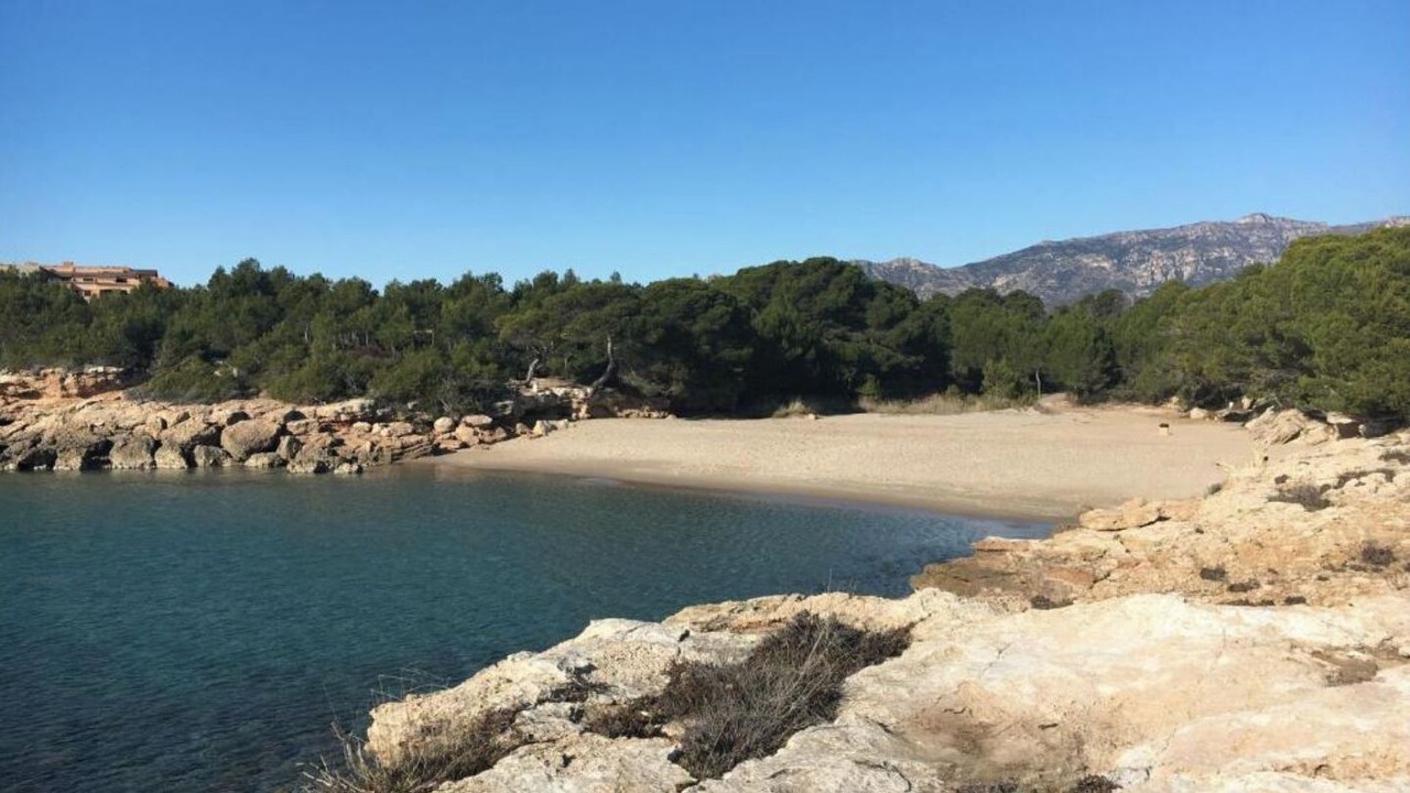 Photo of Others in Calafat