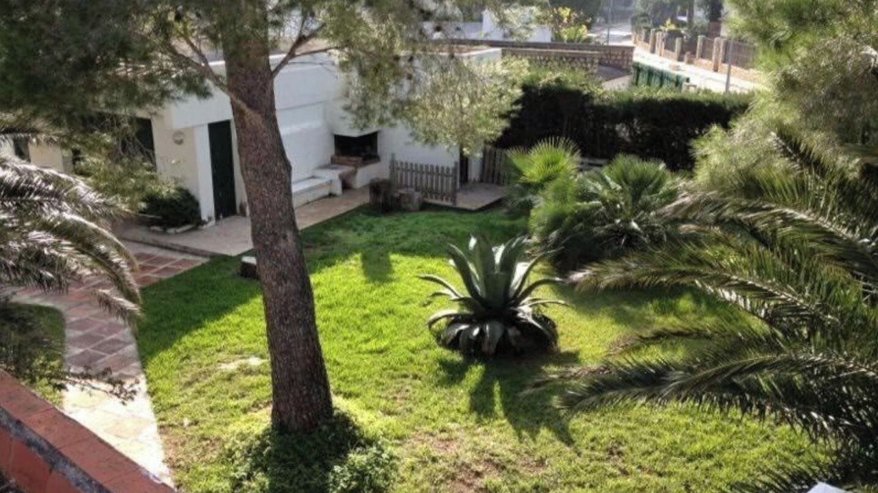 Photo of Outdoor in Calafat