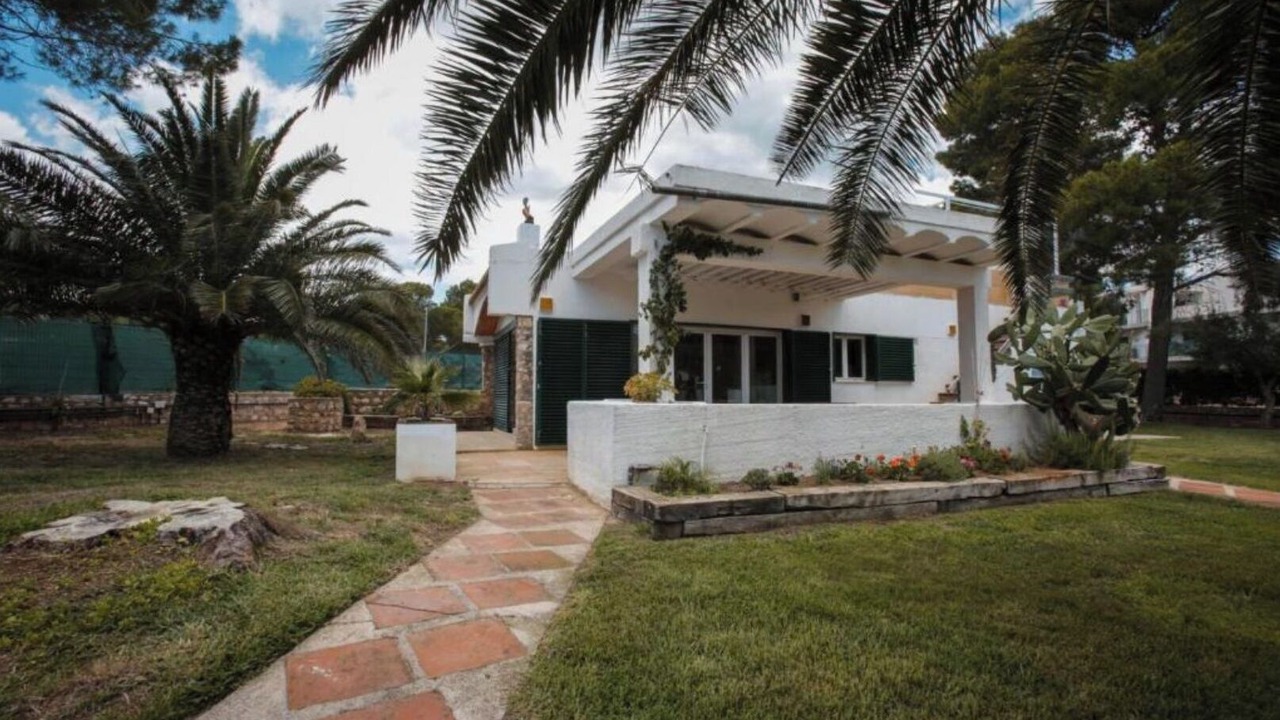 Photo of Outdoor in Calafat